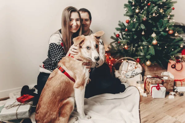 köpekle oynamayı ve Noel ağacı şenlikli odada gülümseyen kazak şık hipster çift. atmosferik anlar. mutlu Noeller ve mutlu yeni yıl kavramı. İyi Bayramlar