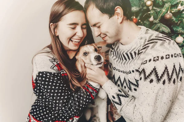köpekle oynamayı ve Noel ağacı şenlikli odada gülümseyen kazak şık hipster çift. atmosferik anlar. mutlu Noeller ve mutlu yeni yıl kavramı. İyi Bayramlar