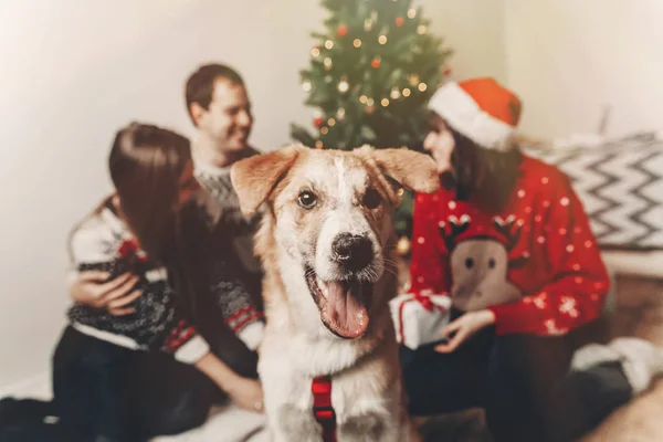 Gelukkige Familie Stijlvolle Truien Leuke Grappige Hond Vieren Kerstboom Met — Stockfoto