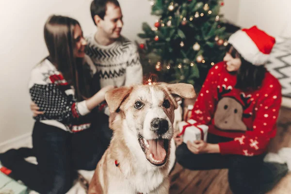 Niedlichen Lustigen Hund Vor Und Glücklich Stilvolle Familie Festlichen Pullovern — Stockfoto