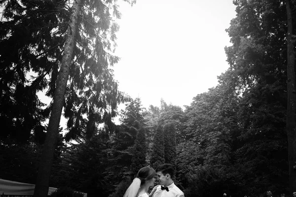신부와 우아한 결혼식 피로연에서 그들의 — 스톡 사진