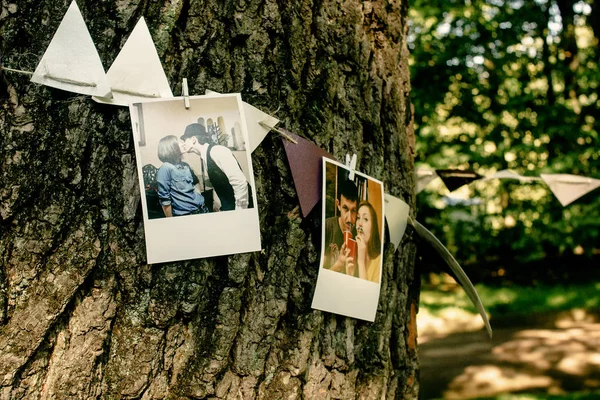 Fotos Von Baum Hängenden Paaren Und Bändern Handgefertigte Verzierungen Und — Stockfoto