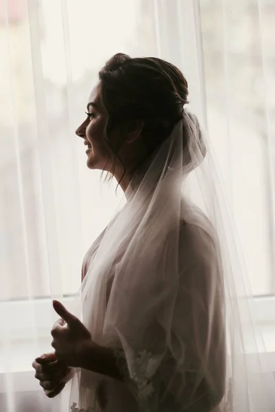 Boudoir Nuziale Giorno Del Matrimonio Splendida Silhouette Ritratto Sposa Vicino — Foto Stock