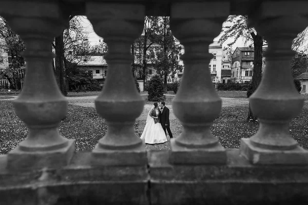 不同寻常的看法通过专栏在华丽的新娘和时髦的新郎走在老城堡在欧洲公园秋天时间 幸福的新婚夫妇拥抱 浪漫时刻 — 图库照片