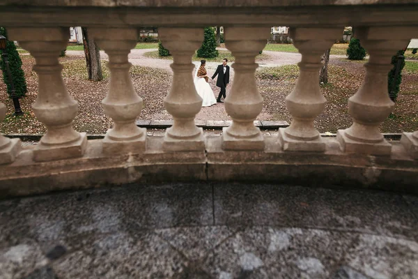 豪華な秋の時間を歩いてヨーロッパ公園で古いお城でスタイリッシュな新郎新婦で列をビューが珍しい 幸せの結婚式を採用します ロマンチックな瞬間 — ストック写真