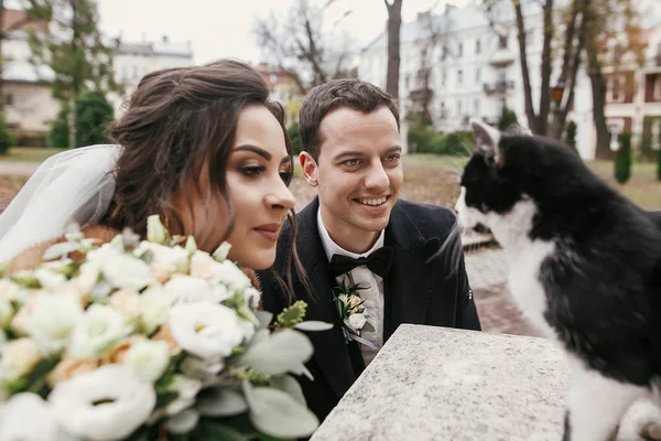 Noiva Linda Noivo Elegante Jogando Com Gato Preto Branco Bonito — Fotografia de Stock