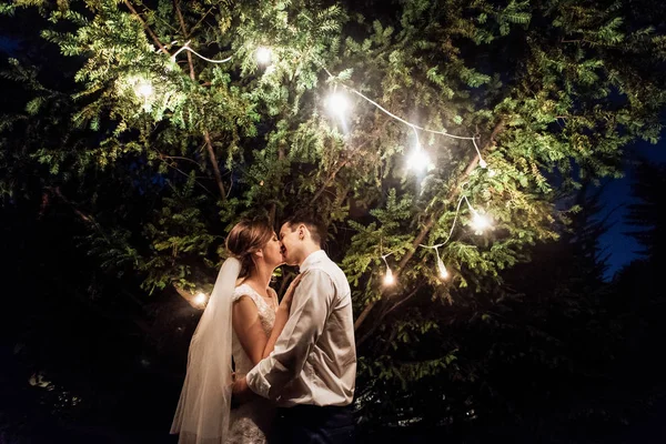 Elegante Sposa Splendida Elegante Sposo Piedi Sotto Albero Con Luce — Foto Stock