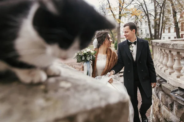 Noiva Linda Noivo Elegante Andando Perto Bonito Gato Preto Branco — Fotografia de Stock