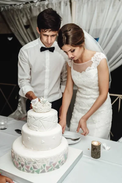 Noiva Lindo Elegante Elegante Corte Noivo Degustação Bolo Casamento Branco — Fotografia de Stock