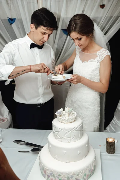 Noiva Lindo Elegante Elegante Corte Noivo Degustação Bolo Casamento Branco — Fotografia de Stock