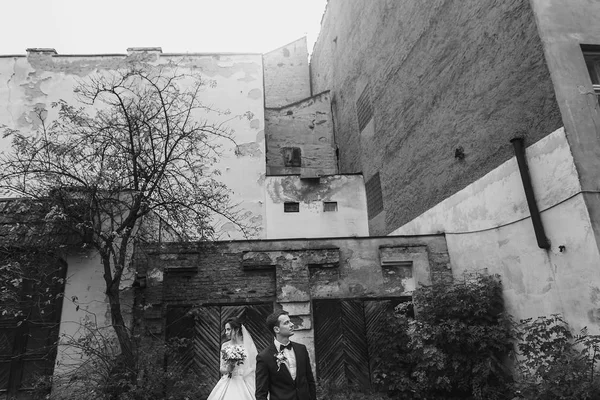 Gorgeous Wedding Couple Posing Old Building Stylish Bride Bouquet Groom — Stock Photo, Image