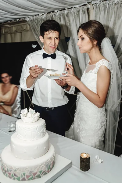 Noiva Lindo Elegante Elegante Corte Noivo Degustação Bolo Casamento Branco — Fotografia de Stock