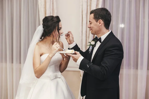 Noiva Linda Noivo Elegante Degustação Seu Bolo Casamento Elegante Recepção — Fotografia de Stock