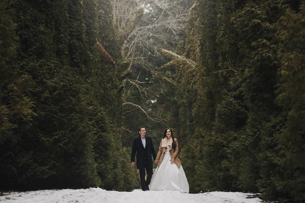 Prachtige Bruidspaar Poseren Winter Besneeuwde Park Stijlvolle Bruid Vacht Bruidegom — Stockfoto