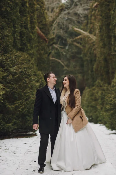 豪華な結婚式のカップルは 雪に覆われた冬の公園でポーズをとるします コートと冬の森で緑の木々 の下で包含新郎でスタイリッシュな花嫁 新婚夫婦のロマンチックな官能的な瞬間 — ストック写真