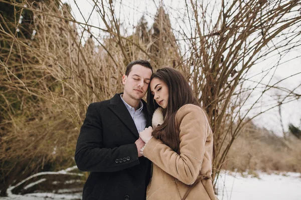 Lindo Casamento Casal Gentilmente Abraçando Inverno Parque Nevado Noiva Elegante — Fotografia de Stock