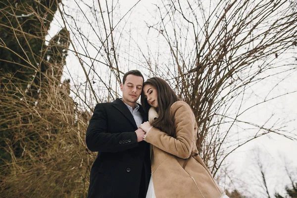 Stupendi Sposi Che Abbracciano Dolcemente Nel Parco Innevato Invernale Sposa — Foto Stock