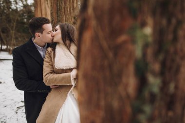 Muhteşem düğün çifti karlı kış parkta öpüşme. ceket ve kış orman yeşil ağaçların altında kucaklayan damat şık gelin. Yeni evliler romantik duygusal an