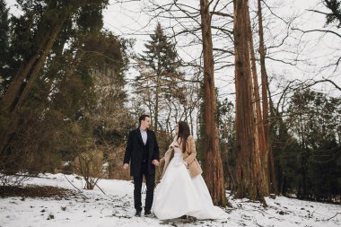 Muhteşem düğün çifti karlı kış parkta poz. ceket ve kış orman yeşil ağaçların altında kucaklayan damat şık gelin. Yeni evliler romantik duygusal an