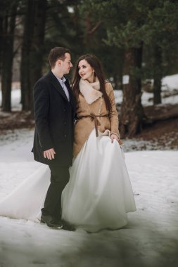 Muhteşem düğün çifti karlı kış Park'ta yürüyordunuz. ceket ve kış orman yeşil ağaçların altında kucaklayan damat şık gelin. Yeni evliler romantik duygusal an