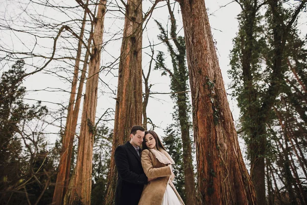 Великолепная Свадебная Пара Позирует Зимнем Снежном Парке Стильная Невеста Пальто — стоковое фото