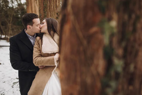 Magnifique Couple Mariage Embrasser Dans Parc Enneigé Hiver Mariée Élégante — Photo