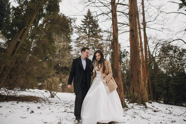 Muhteşem Düğün Çifti Karlı Kış Parkta Poz Ceket Kış Orman — Stok fotoğraf