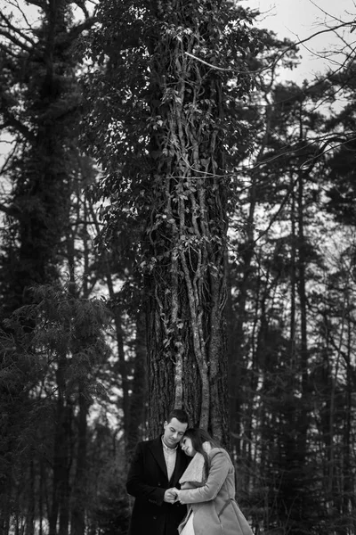 Magnifique Couple Mariage Posant Dans Parc Enneigé Hiver Mariée Élégante — Photo