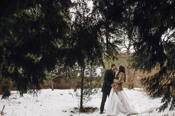 gorgeous wedding couple posing in winter snowy park. stylish bride in coat and  groom embracing under green trees in winter forest. romantic sensual moment of newlyweds