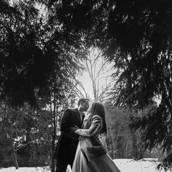 Prachtige Bruidspaar Zoenen Winter Besneeuwde Park Stijlvolle Bruid Vacht Bruidegom — Stockfoto