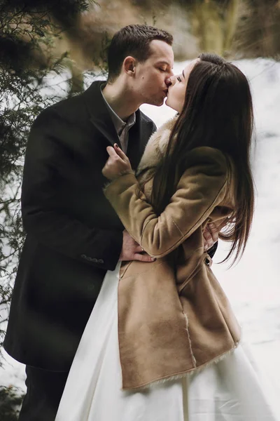 Великолепная Свадебная Пара Целуется Зимнем Снежном Парке Стильная Невеста Пальто — стоковое фото