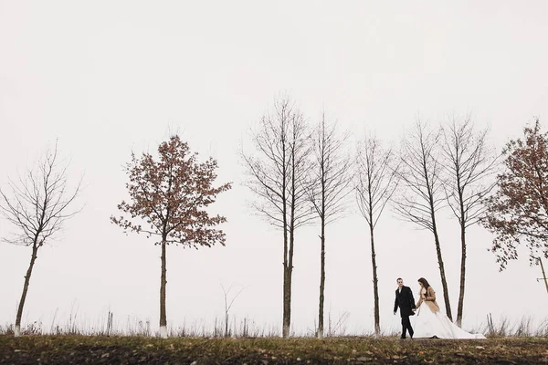 Gyönyörű Menyasszony Vőlegény Őszi Fák Között Sétálva Boldog Newlywed Pár — Stock Fotó