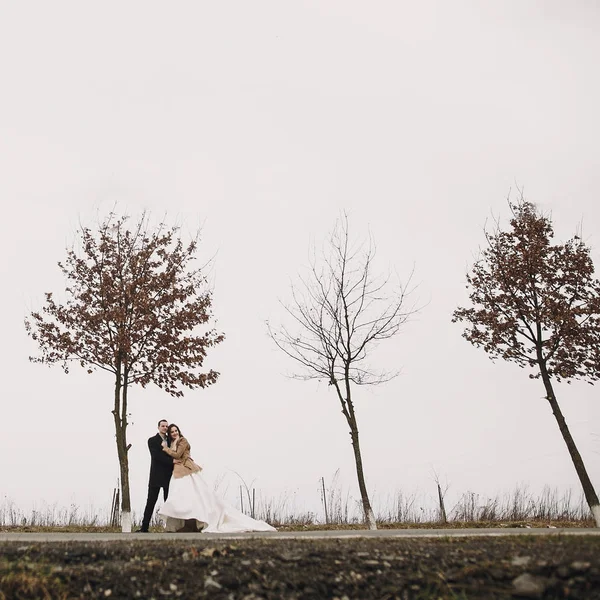 Gyönyörű Menyasszony Vőlegény Őszi Fák Között Sétálva Boldog Newlywed Pár — Stock Fotó