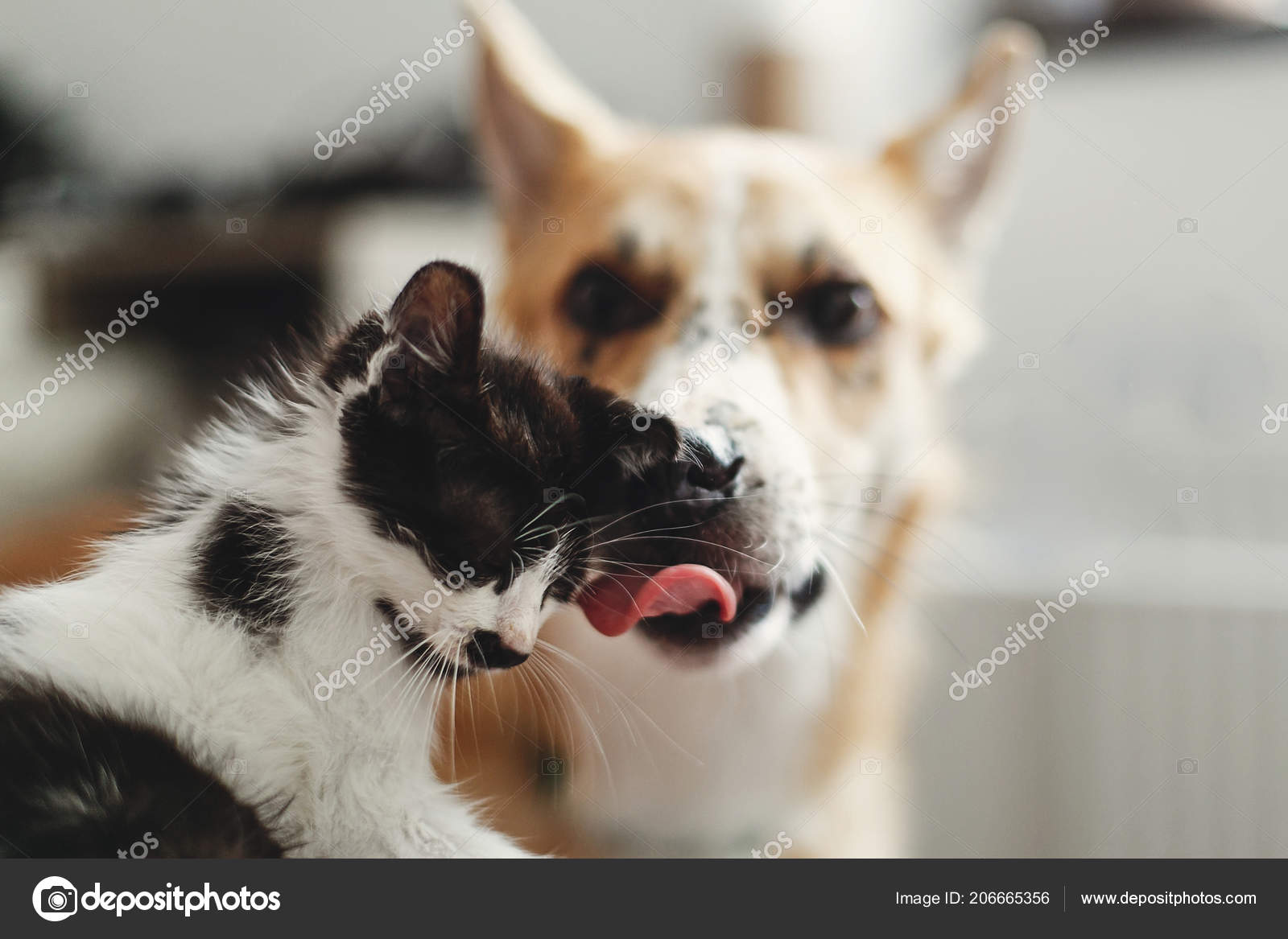 lizhet-pod-odeyalom-lizhet