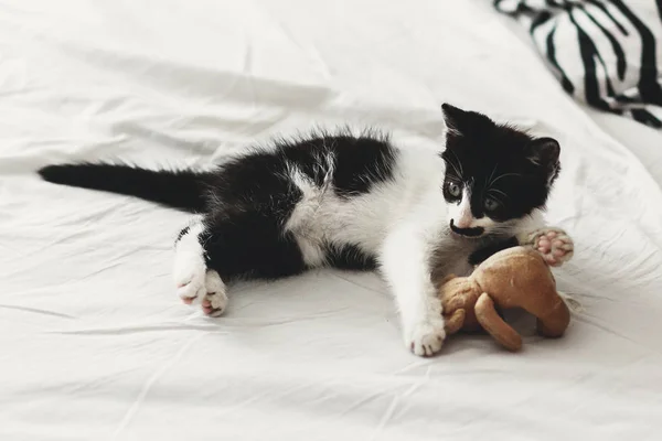 Gatinho Bonito Brincando Com Pouco Brinquedo Ursinho Pelúcia Lençóis Brancos — Fotografia de Stock