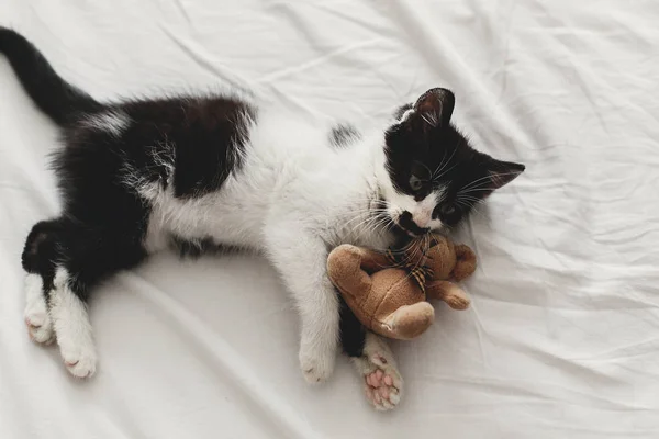 Söta Lilla Kattunge Leker Med Lilla Nalle Leksak Vita Lakan — Stockfoto