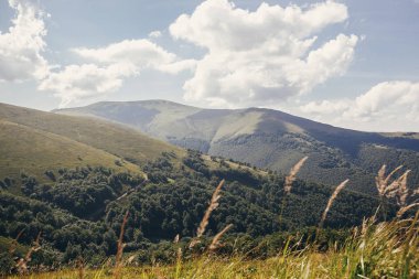 güzel dağlar hill manzara mavi gökyüzü ve bulutlar. çim, çiçekler, ağaçlar harika manzaraya Dağı'nda. seyahat ve Yolculuk tutkusu kavramı.