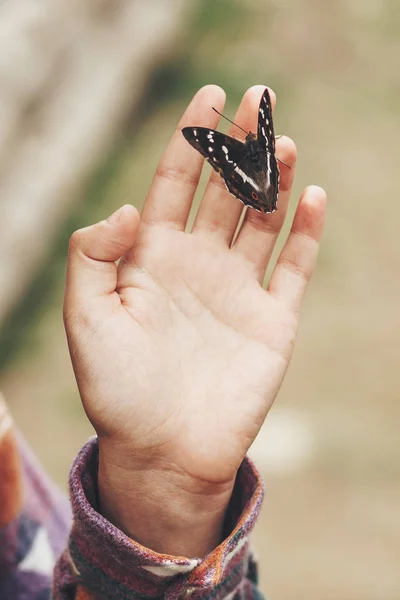 Schöner Schmetterling Auf Weiblicher Hand — Stockfoto