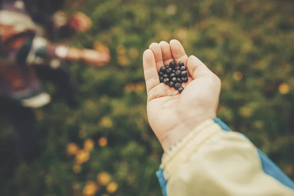 Male Hand Holding Blueberries — Stock Photo, Image
