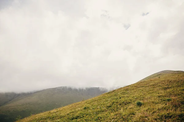 Schöner Hügel Mit Gras Nebligen Wolken Und Nebel Sonnige Berge — Stockfoto