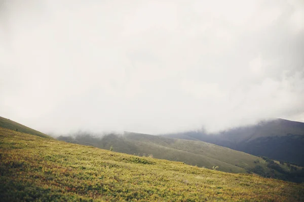 Prachtige Heuvel Met Gras Mistige Wolken Mist Zonnige Bergen Landschap — Stockfoto