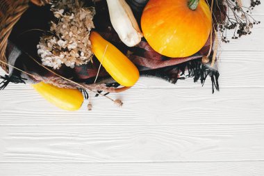 Hasat ve Merhaba sonbahar kavramı. Kabak ve kabak hasır sepet Beyaz ahşap arka planda, düz içinde yatıyordu. Mutlu Şükran günü ve Cadılar Bayramı. rustik görüntü alanı metin için