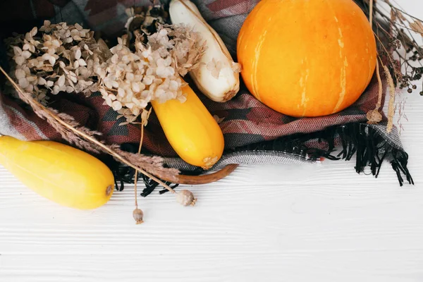 Šťastné Díkuvzdání Halloween Dýně Cukety Proutěném Koši Bílém Pozadí Dřevěná — Stock fotografie