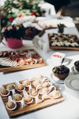 düğün resepsiyonunda Restoran cinsinden farklı et lezzetli masa. köfte, jambon, salam, sosis ve salam plaka üzerinde lüks catering