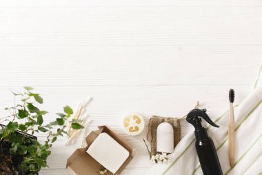 sürdürülebilir yaşam tarzı kavramı, düz yatıyordu. doğal çevre bambu diş fırçası, Hindistan cevizi sabun, el yapımı deterjan, kristal deodorant, lif kabağı, bambu kulak sopa. yeşil git. sıfır atık
