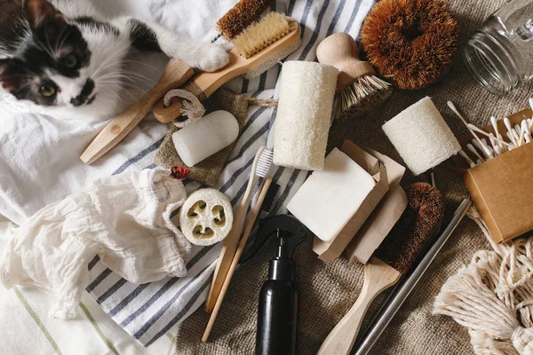 Sustainable Lifestyle Concept Cat Eco Natural Bamboo Toothbrush Brush Crystal — Stock Photo, Image