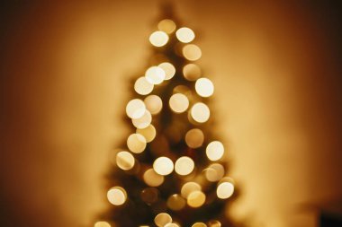 güzel Noel ağacı Altın ışık şenlikli odasında. Noel arka plan bulanıklık defocused bokeh sarı parlak dekorasyon Noel ağacı dalları. dekor kış tatilleri için