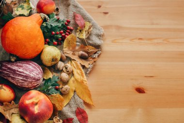 Kabak, sebze, renkli yapraklarda ahşap masa meşe palamutları ve fındık ile. Parlak sonbahar resim. Hasat zamanı. -Şükran günün kutlu olsun düz yatıyordu. Merhaba sonbahar.