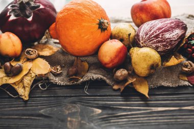 Mutlu Şükran günü kavramı. Güzel bileşimi kabak, renkli yaprakları, meşe palamutları, fındık, sonbahar sebzeleri meyveleri ahşap rustik masaya. Sonbahar mevsim tebrik kartı