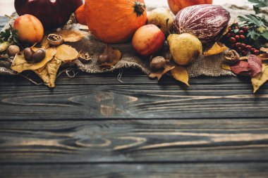 Mutlu Şükran günü kavramı. Güzel bileşimi kabak, renkli yaprakları, meşe palamutları, fındık, sonbahar sebzeleri meyveleri ahşap rustik masaya. Metin için yer. Rahat sonbahar sezon